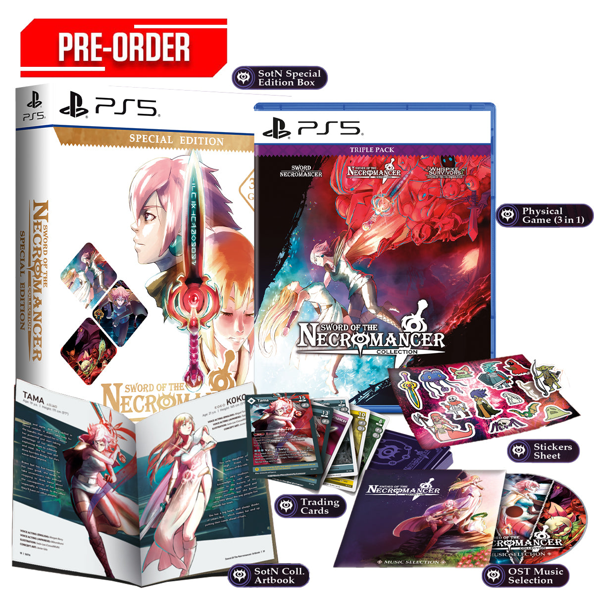 PS5 Sword of the Necromancer Collection Special Edition