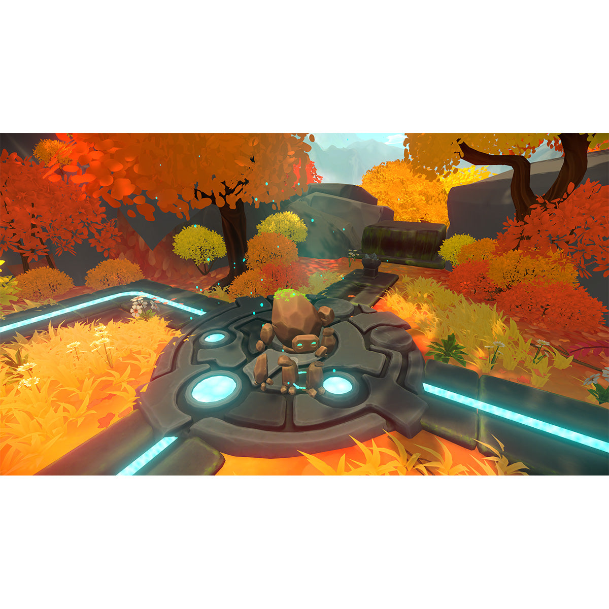 Unpetrified: Echoes of Nature