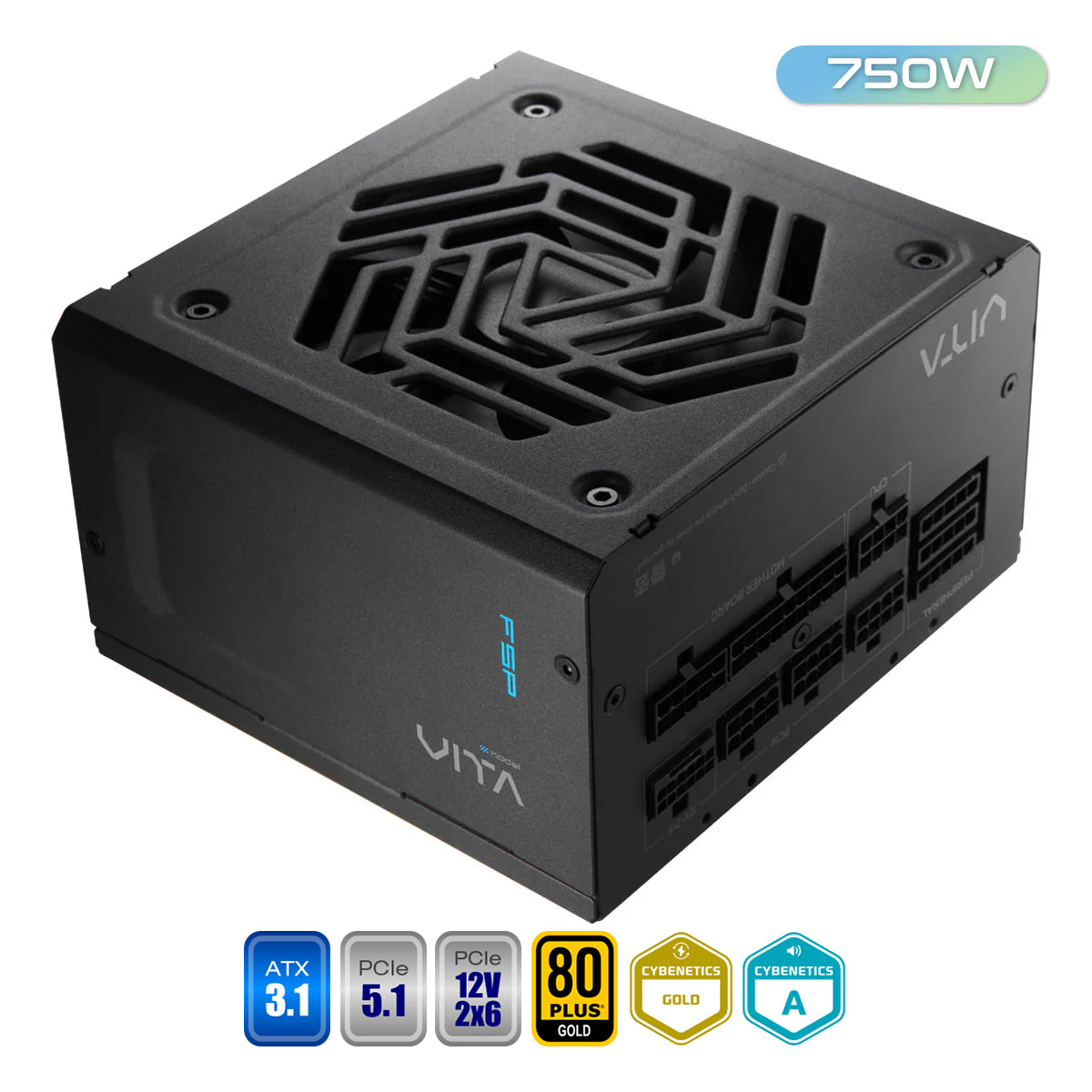 FSP Vita GM 750W 80+ Gold PCIe 5.1 ATX 3.1 Fully Modular Power Supply (Black)