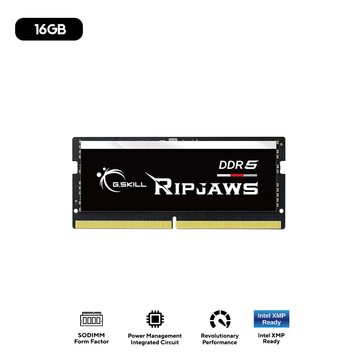 G.Skill Ripjaws 16GB (1x16GB) DDR5 SO-DIMM 5600 MT/s CL40-40-40 1.10V Laptop Memory (F5-5600S4040A16GX1-RS)