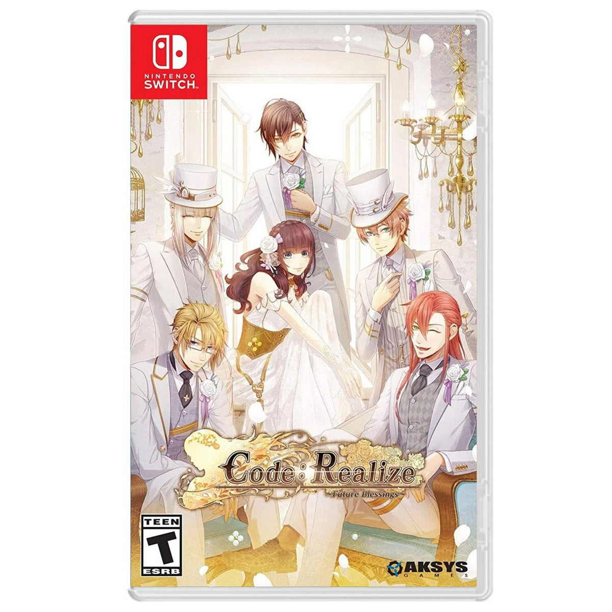 DATABLITZ | NINTENDO SWITCH CODE REALIZE FUTURE BLESSINGS