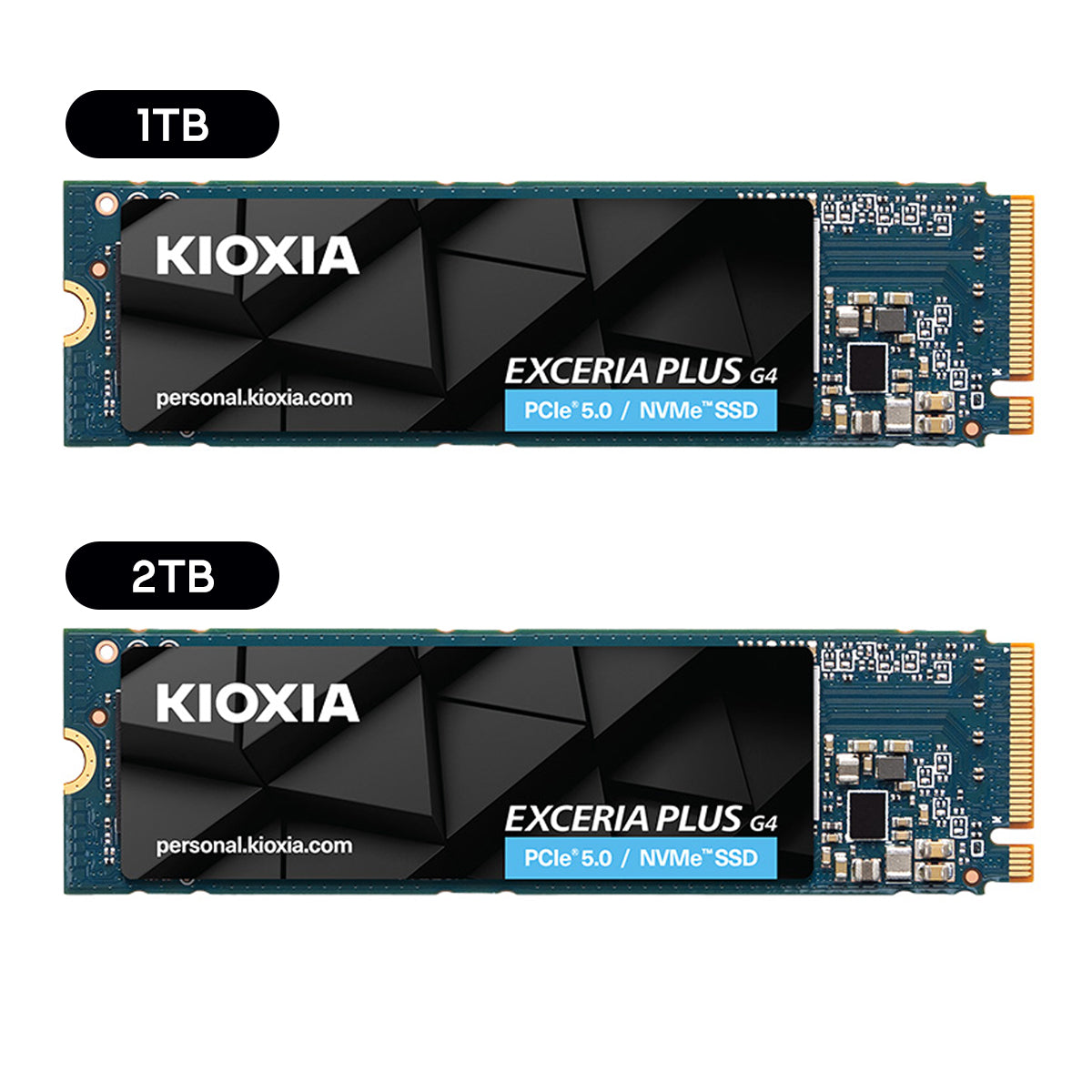 Kioxia Exceria Plus G4 PCIe Gen5 x4 M.2 2280 NVME SSD