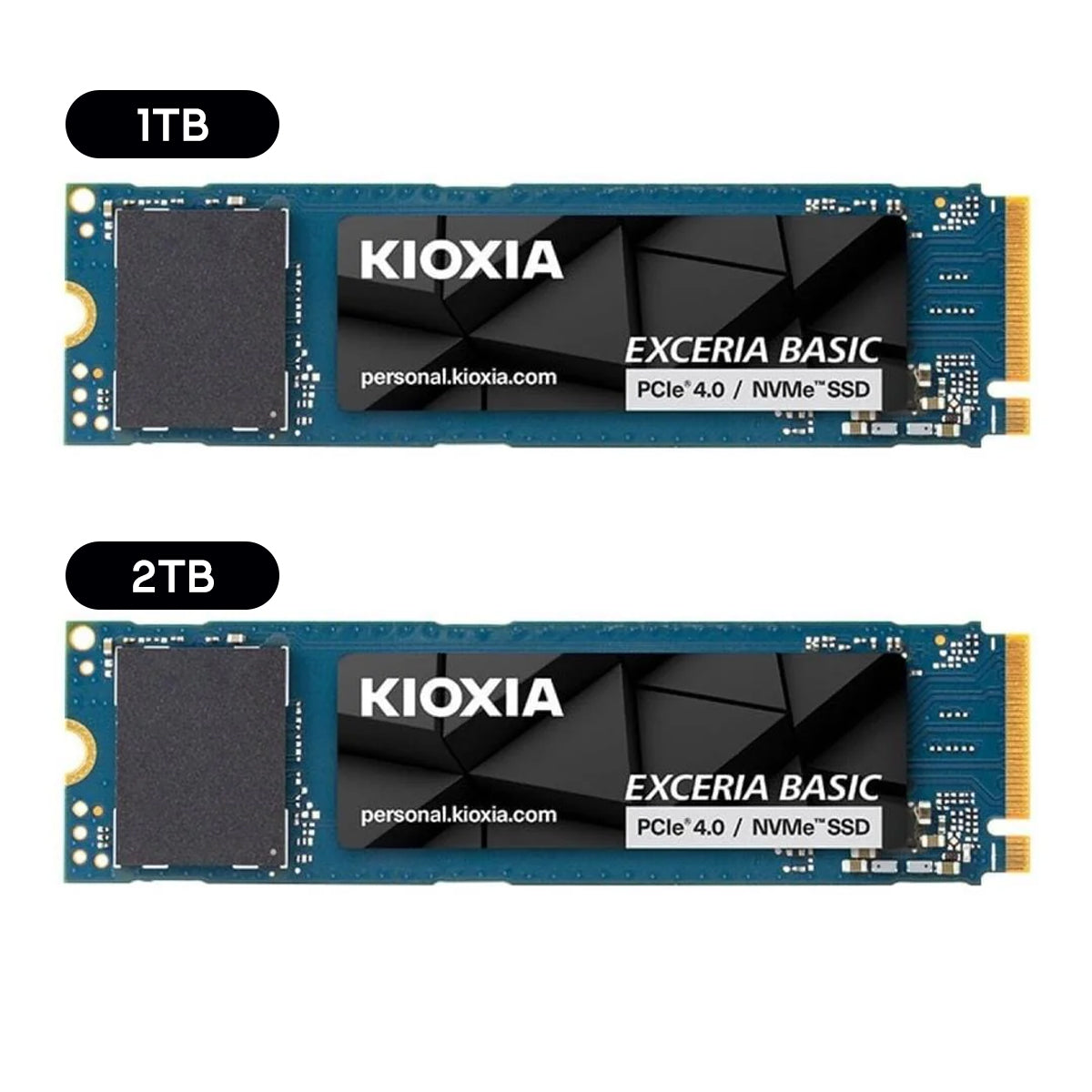 Kioxia Exceria Basic PCIe Gen4 x4 M.2 2280 NVME SSD