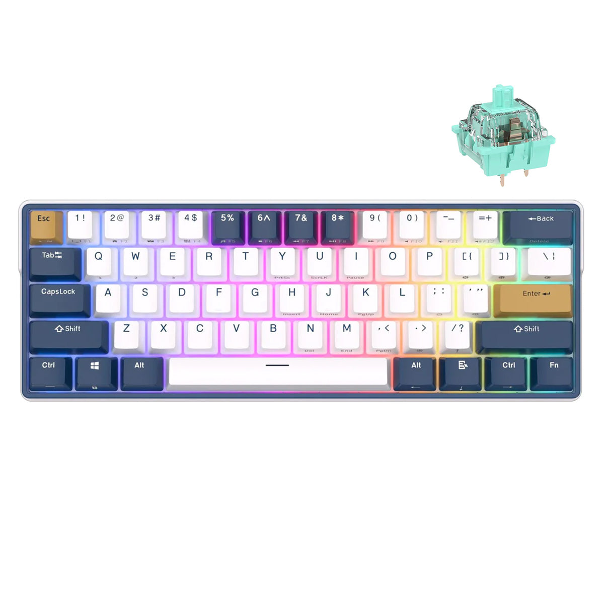 Royal Kludge RK61 Plus Tri-Mode RGB 61-Keys Hot Swappable Mechanical Keyboard Klein Blue (Sky Cyan Switch)