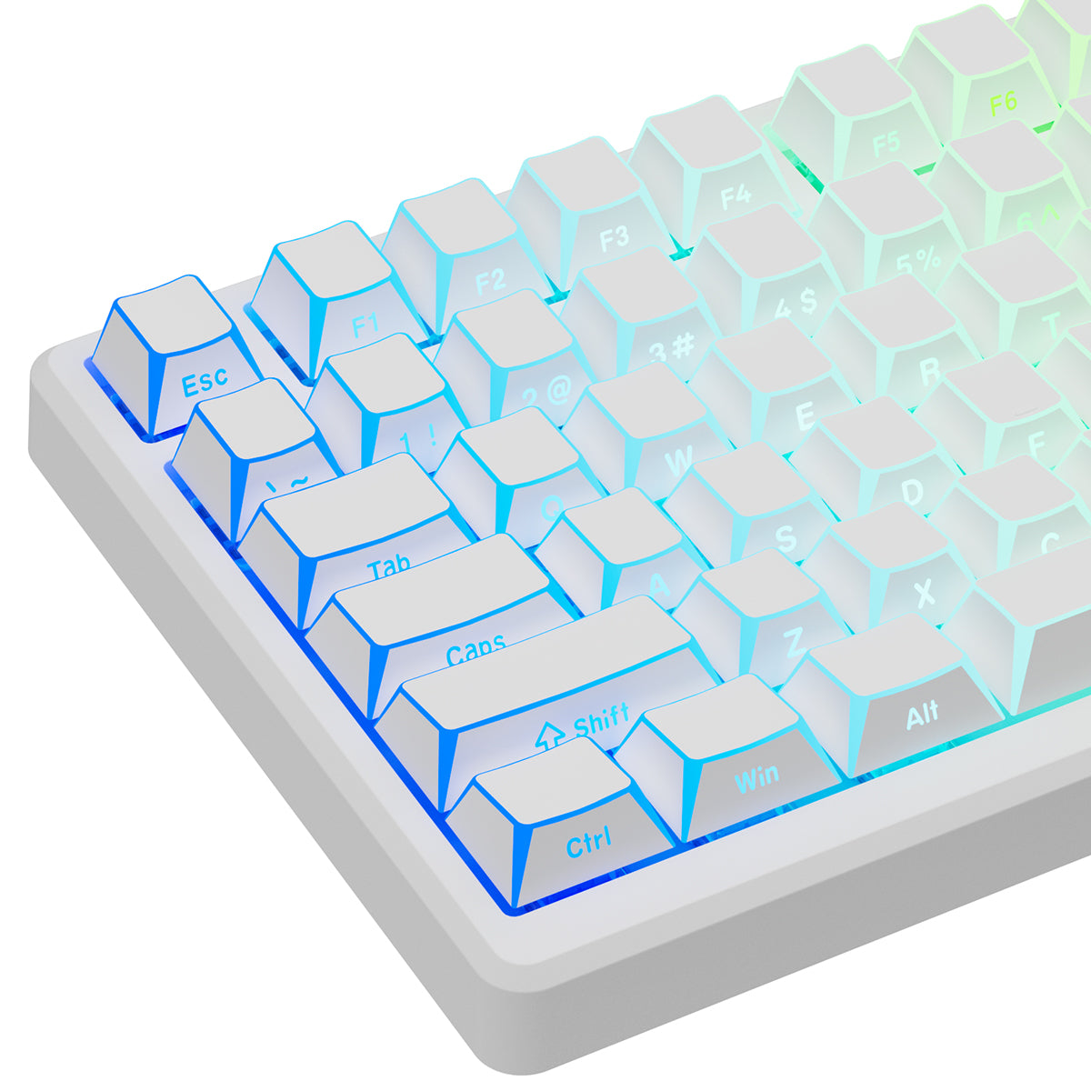 Royal Kludge RK-M75 HE Single-Mode RGB 81 Keys Hot-Swappable Mechanical Keyboard Frame
