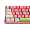 Akko Mochi & Dango 3068B Plus Multi-Modes RGB Mechanical Keyboard