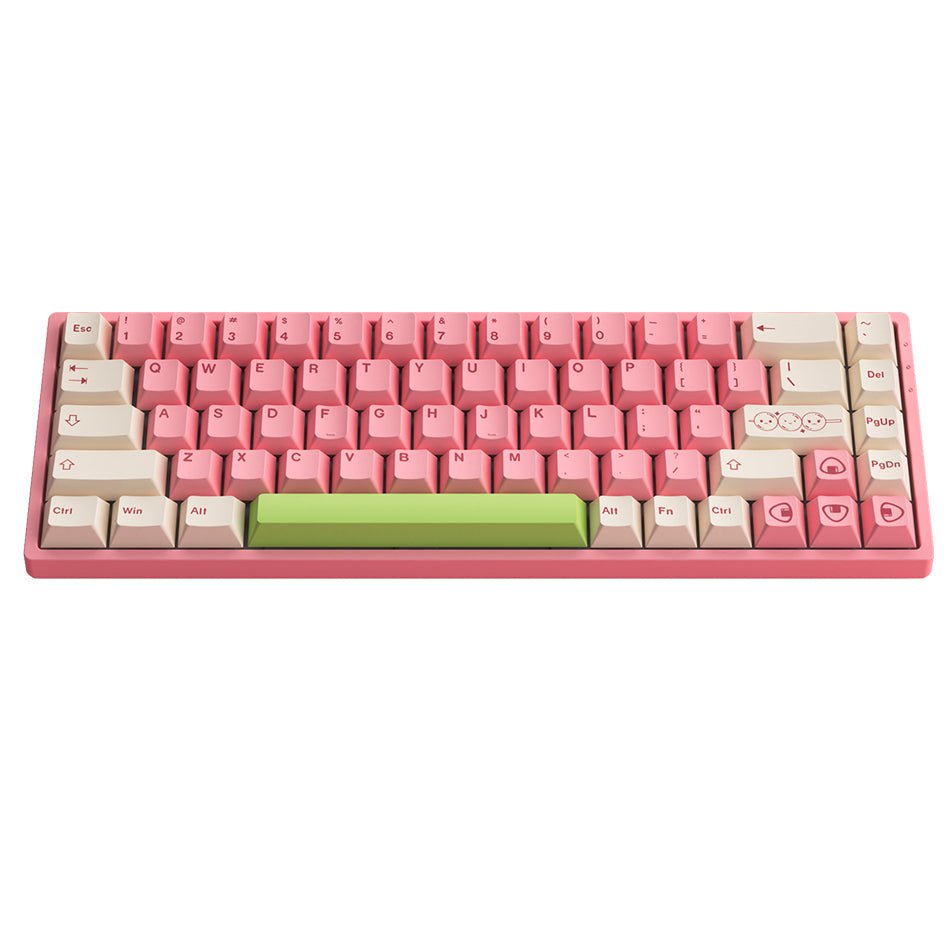 Akko Mochi & Dango 3068B Plus Multi-Modes RGB Mechanical Keyboard