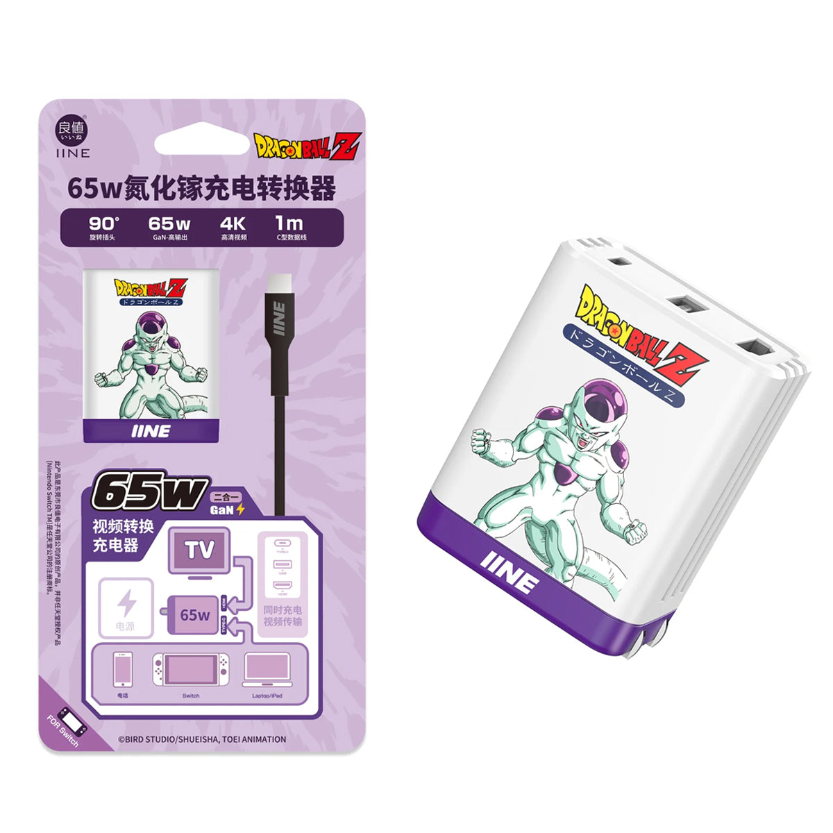 IINE 65W GaN Video Converter Fast Charger