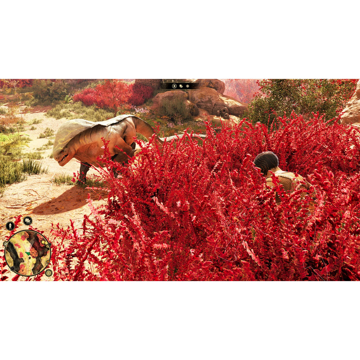 GreedFall The Dying World