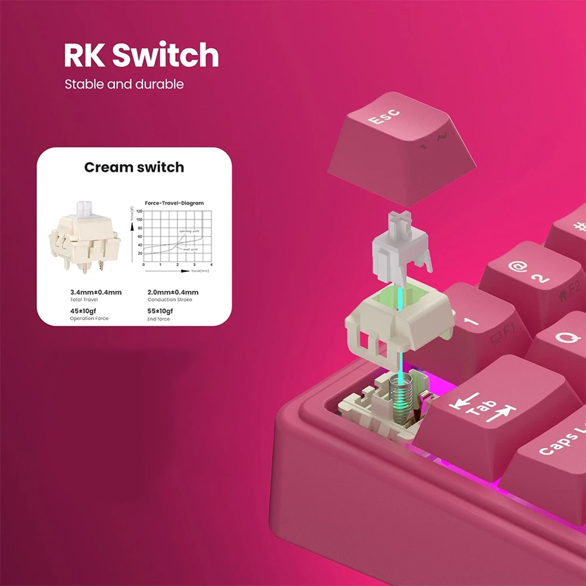 Royal Kludge R65 Single-Mode RGB Hot-Swappable Mechanical Keyboard