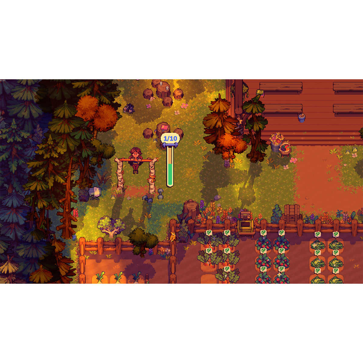 Farming Camp