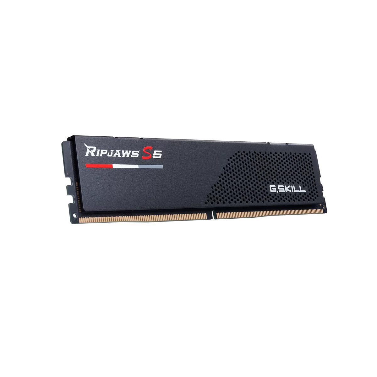 G.Skill Ripjaws 16GB (1x16GB) DDR5 U-DIMM Desktop Memory