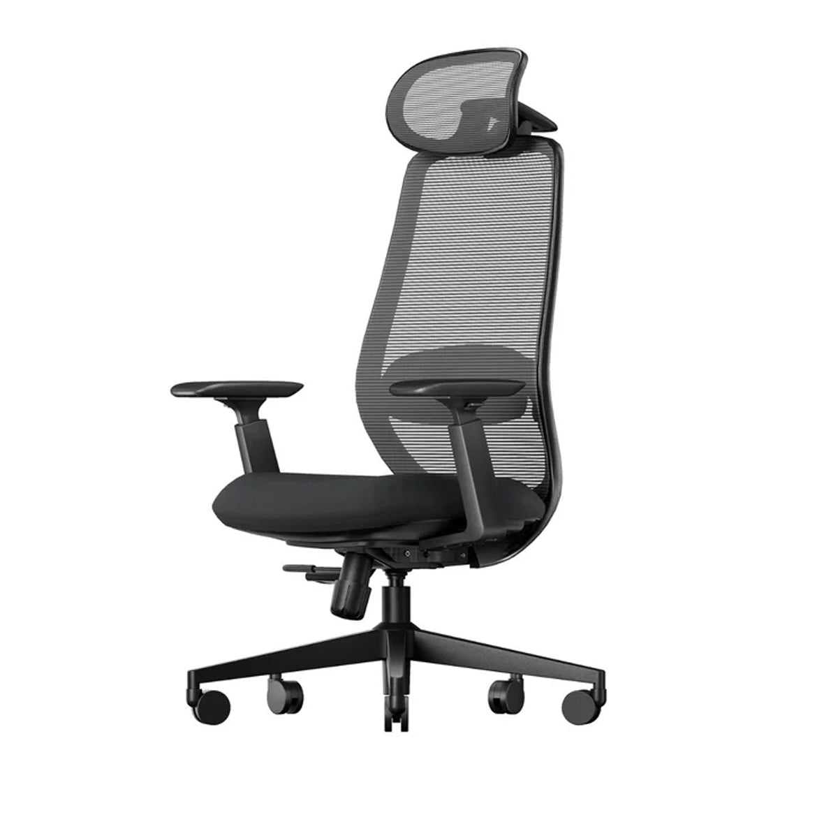 ProtoArc EC200 Ergonomic Mesh Office Chair (Black, Grey) (CP016352, CP016353)