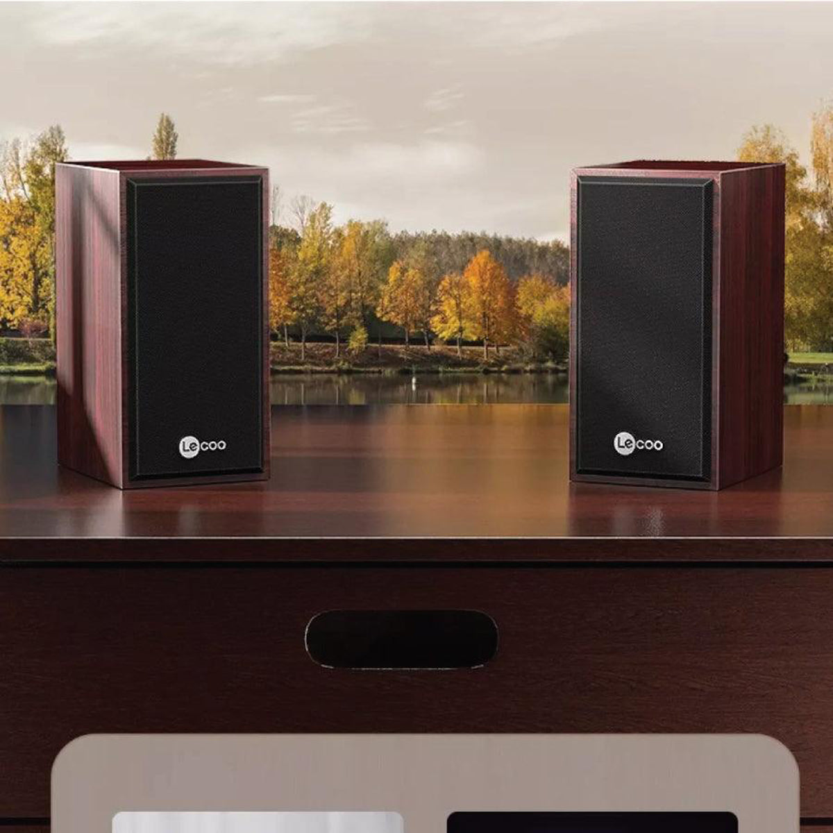 Lecoo DS105 Wired Desktop Speaker (Red Wood Grain)
