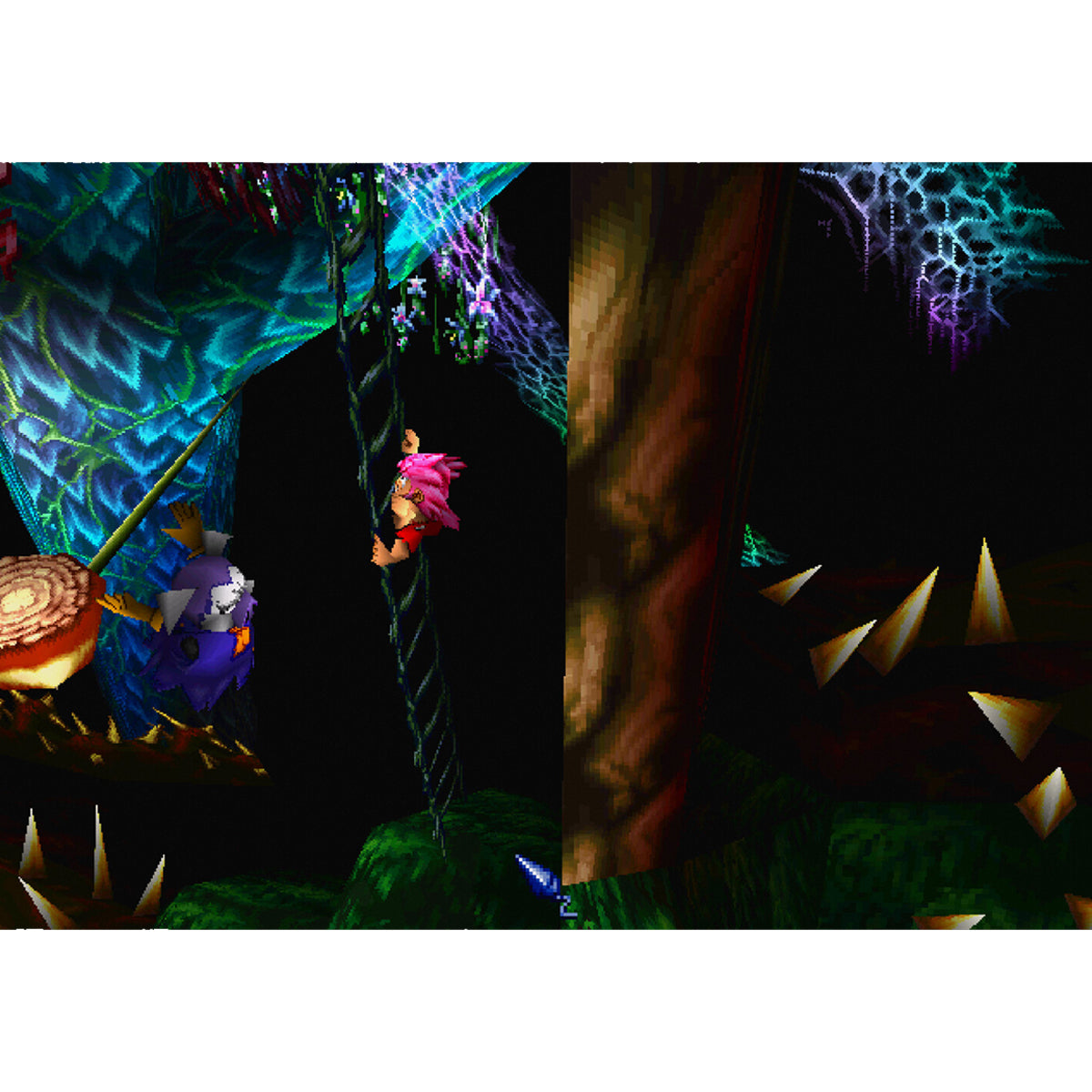 Tomba! 2 The Evil Swine Return Special Edition