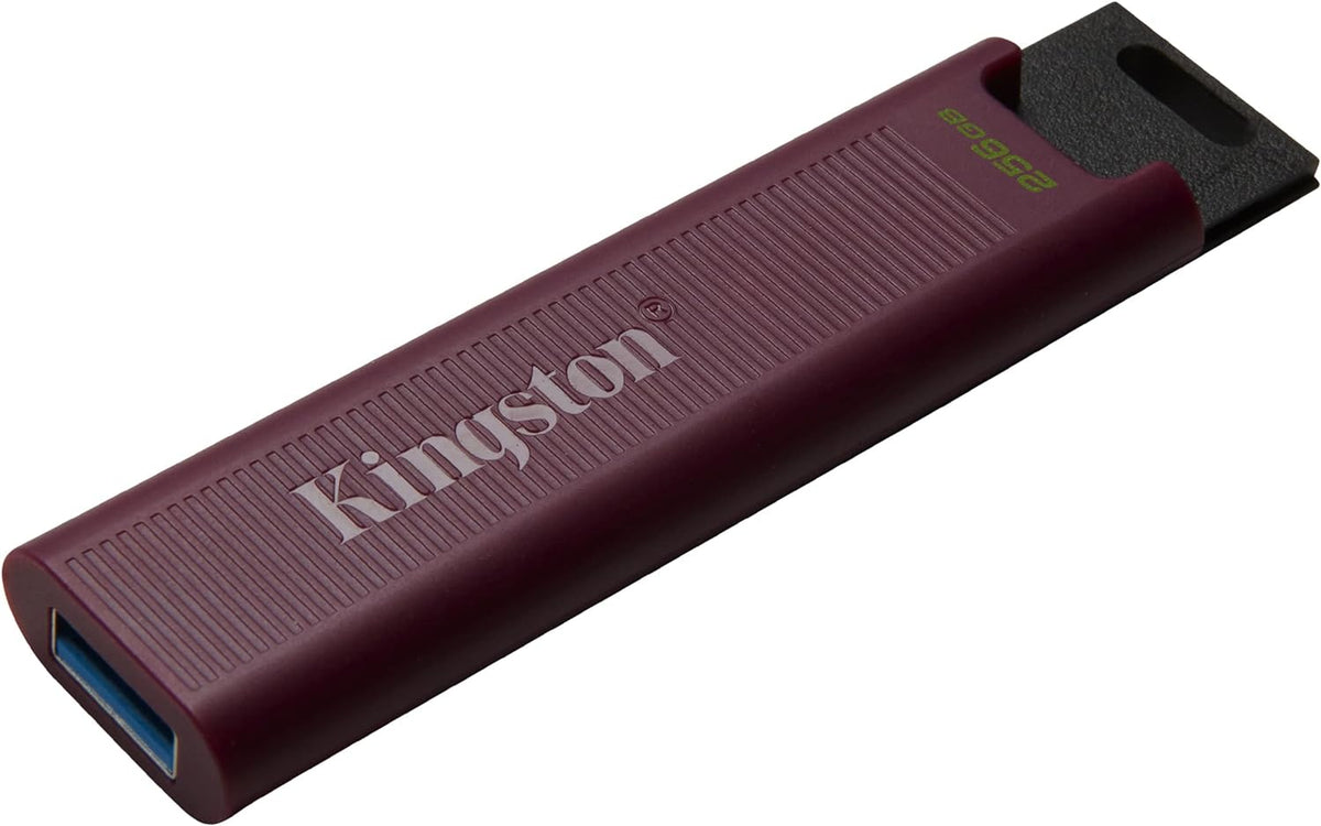 Kingston DataTraveler Max 256GB USB 3.2 Gen 2 USB Type-A Flash Drive (DTMAXA/256GB)
| DataBlitz