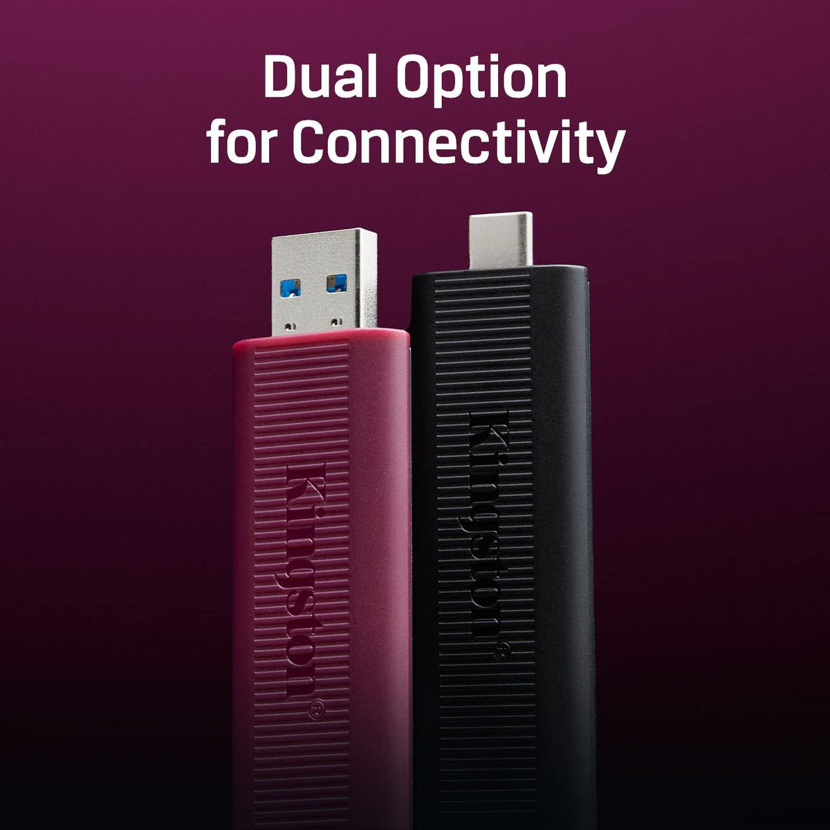 Kingston DataTraveler Max 256GB USB 3.2 Gen 2 USB Type-A Flash Drive (DTMAXA/256GB)
| DataBlitz
