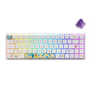 Akko Doraemon Rainbow 3068B Multi-Modes RGB Hot-Swappable Mechanical Keyboard (Akko CS Jelly Purple)