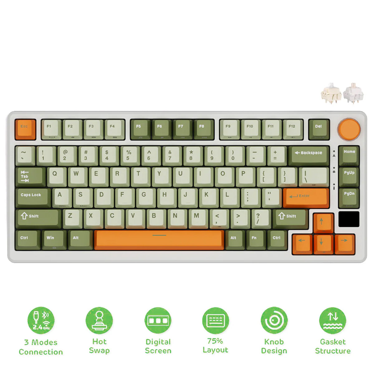 Royal Kludge RK-M75 Tri-Mode RGB 81 Keys Hot-Swappable Mechanical Keyboard Slate Cyan (Cream Switch, Beige Switch)