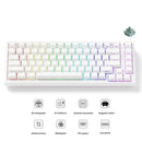 Akko TAC75 HE Shine-Through White Wired ARGB Mechanical Keyboard