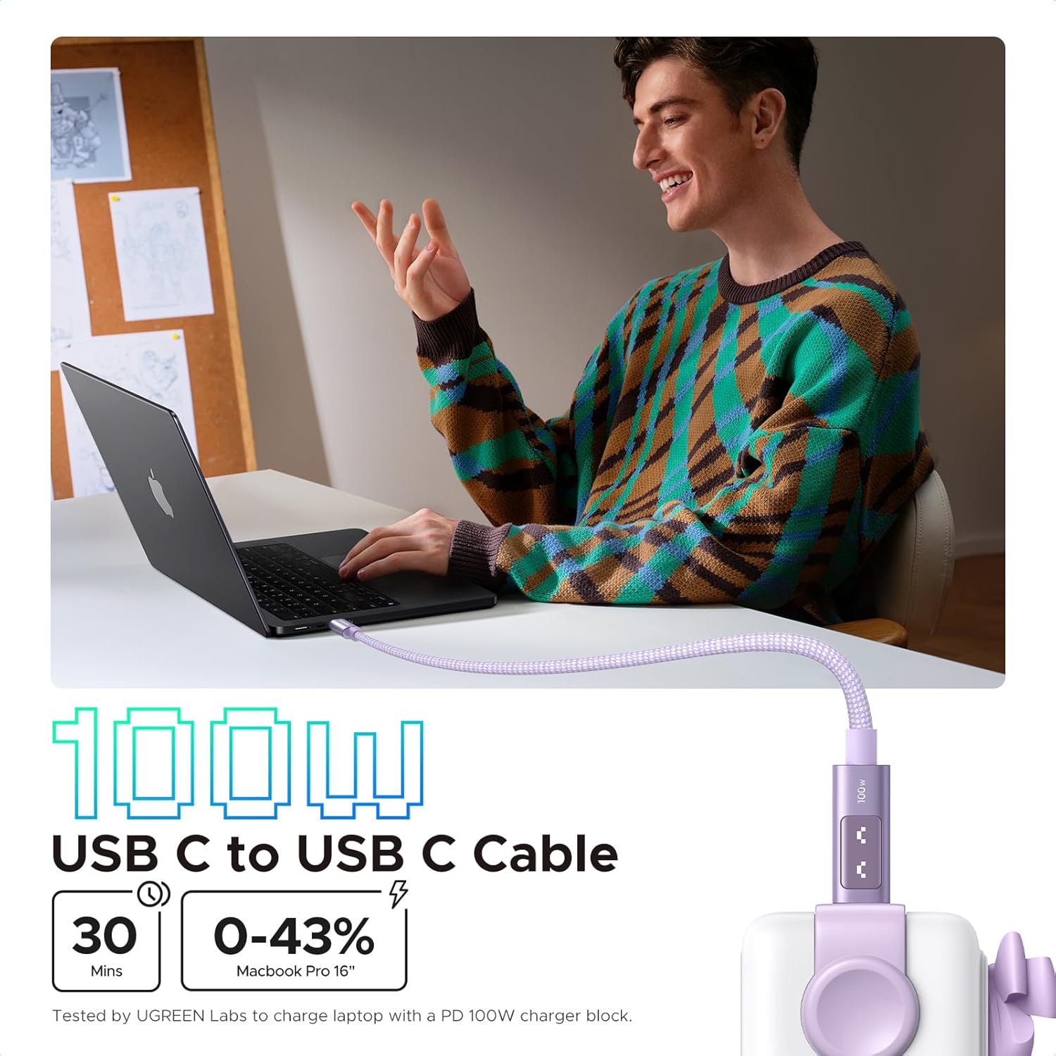 Ugreen Uno USB-C To USB-C PD 100W Fast Charging Cable - (Purple) | DataBlitz