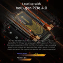 Transcend 250S M.2 2280 NVMe PCIe Gen4 x4 Internal Gaming SSD