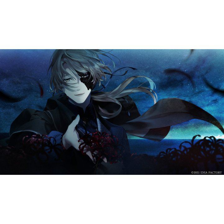 NINTENDO SWITCH VIRCHE EVERMORE-ERROR SALVATION