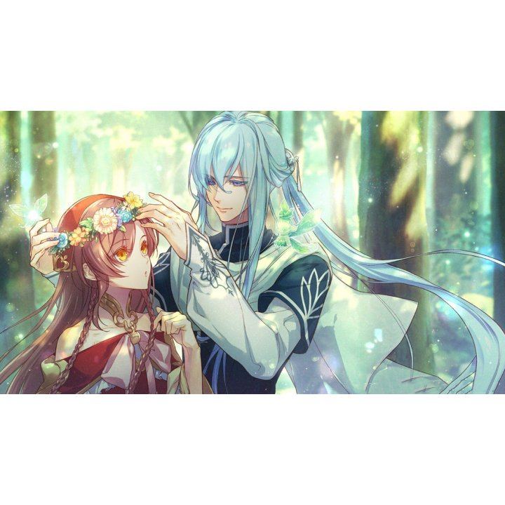 Nintendo Switch Radiant Tale