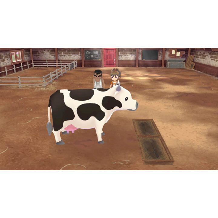 NINTENDO SWITCH STORY OF SEASONS: A WONDERFUL LIFE PREMIUM EDITION