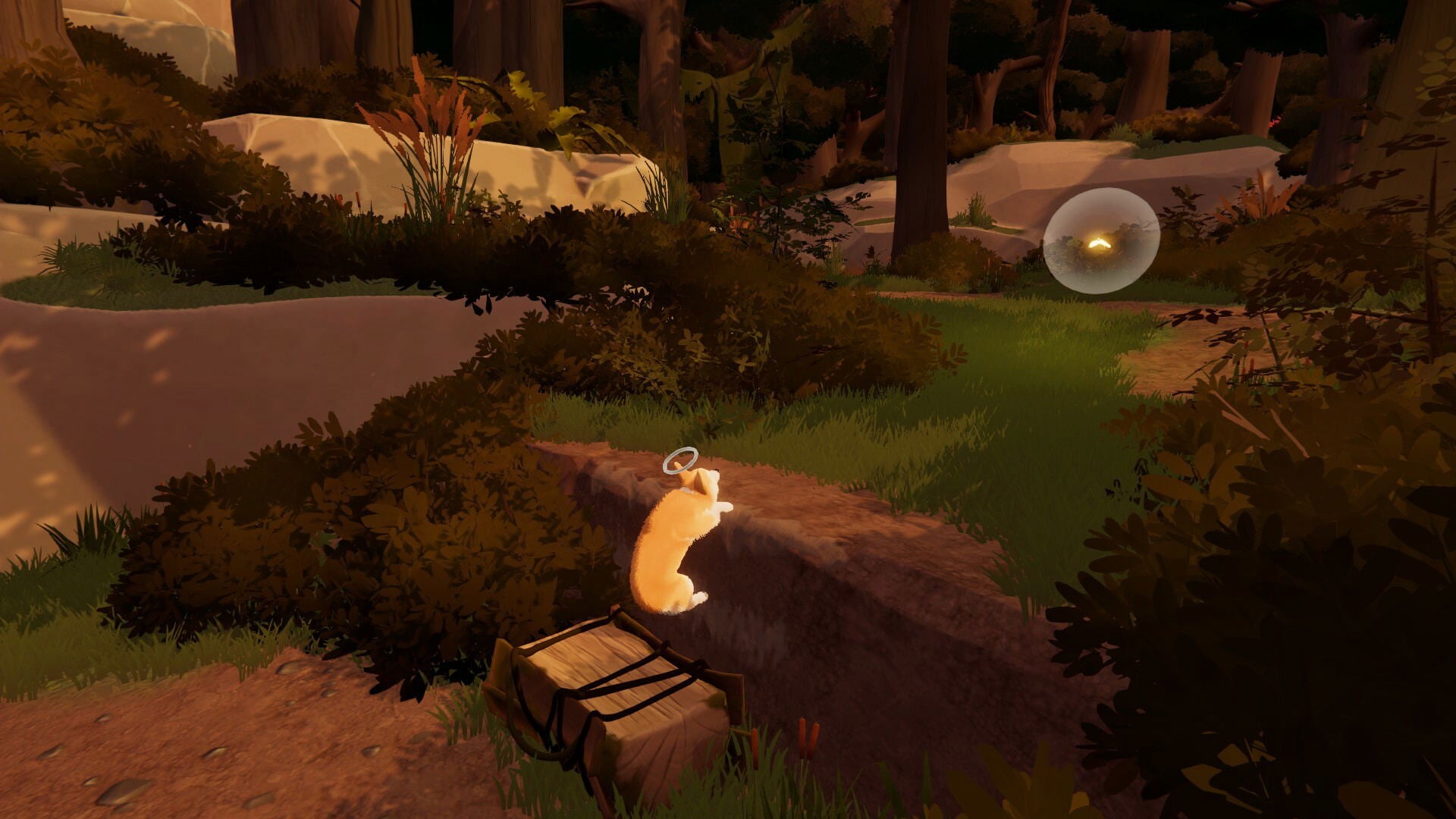 My Little Puppy | DataBlitz