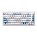 Akko MOD 007 HE PC Wired RGB Hot-Swappable Mechanical Keyboard (Stellar Journey) - DataBlitz