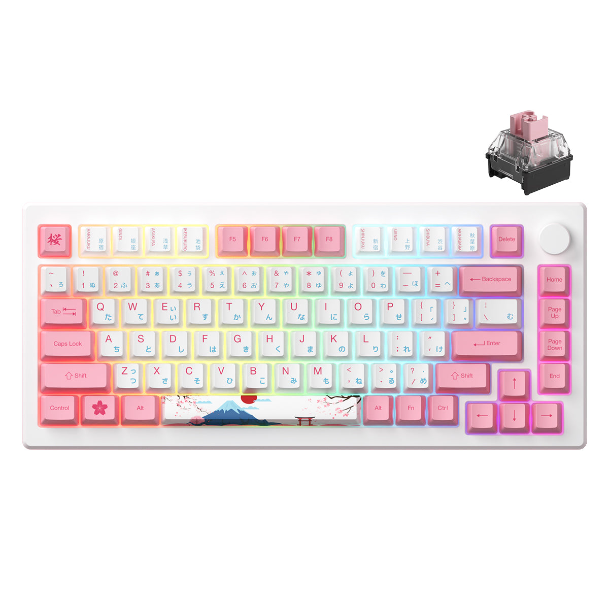 Akko MOD 007B HE PC Tokyo R2 Tri-Mode RGB Hot-Swappable Mechanical Keyboard