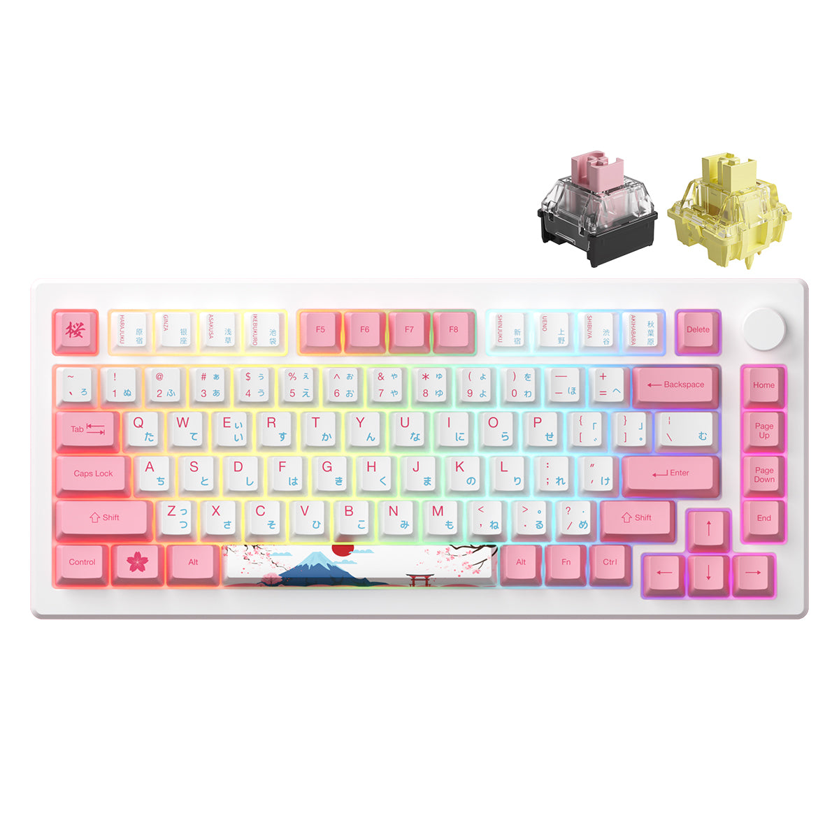 Akko MOD 007B HE PC Tokyo R2 Tri-Mode RGB Hot-Swappable Mechanical Keyboard