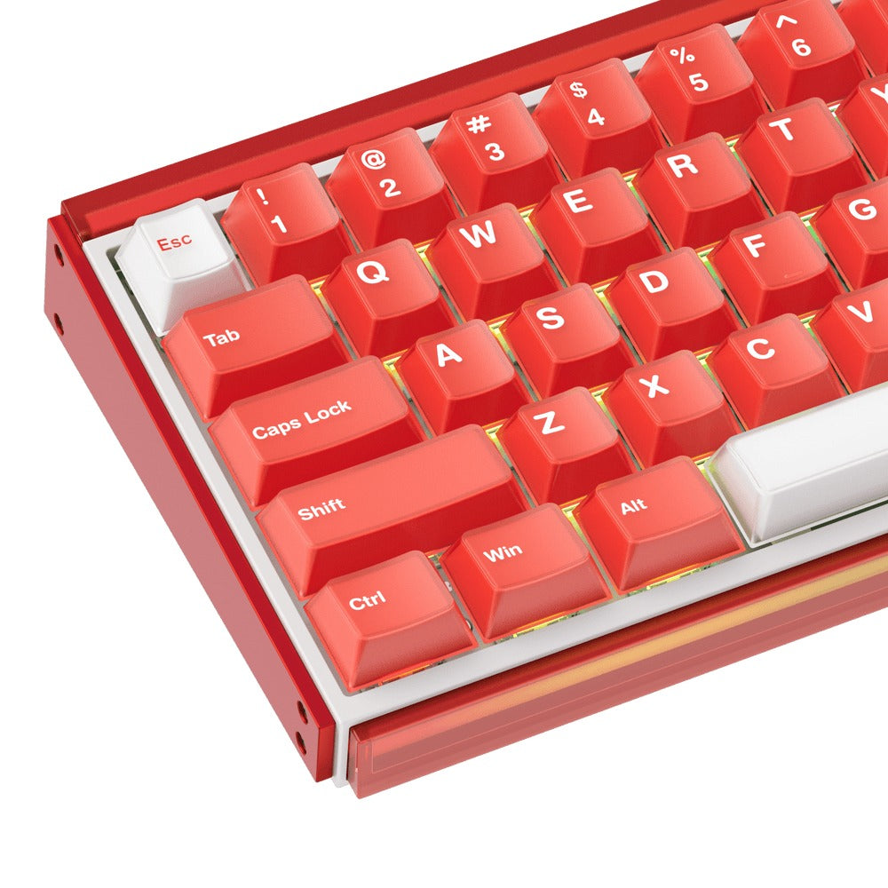 Akko Ray68 RGB Wired Mechanical Keyboard (Misty Red & White)