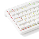 Akko TAC75 HE Shine-Through White Wired ARGB Mechanical Keyboard