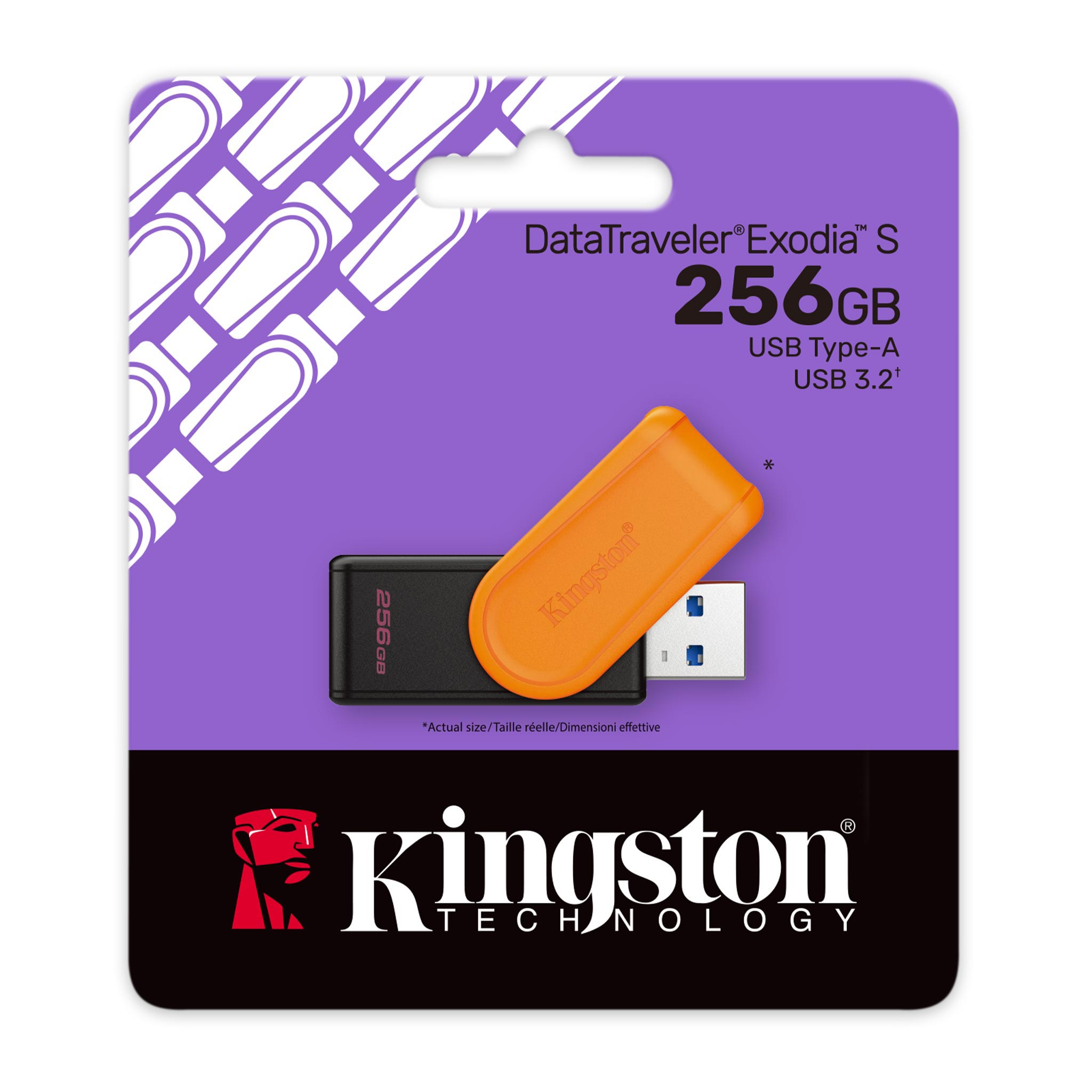 Kingston DataTraveler Exodia S USB 3.2 Type-A Flash Drive | DataBlitz