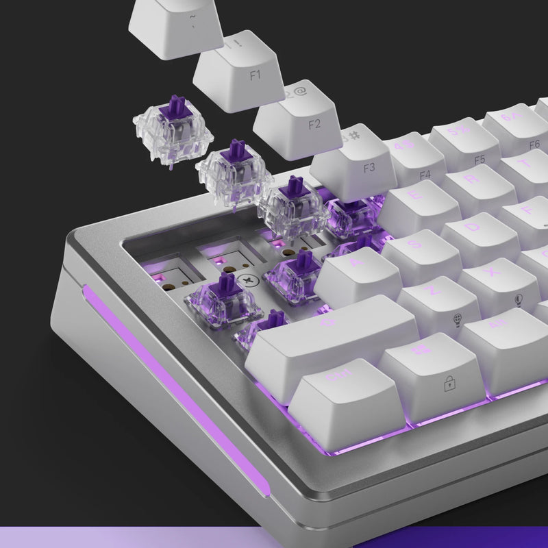 Glorious Mechanical Mako Switches | DataBlitz