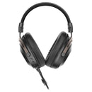Redragon H389 Arrorain Lite RGB Wired Gaming Headset