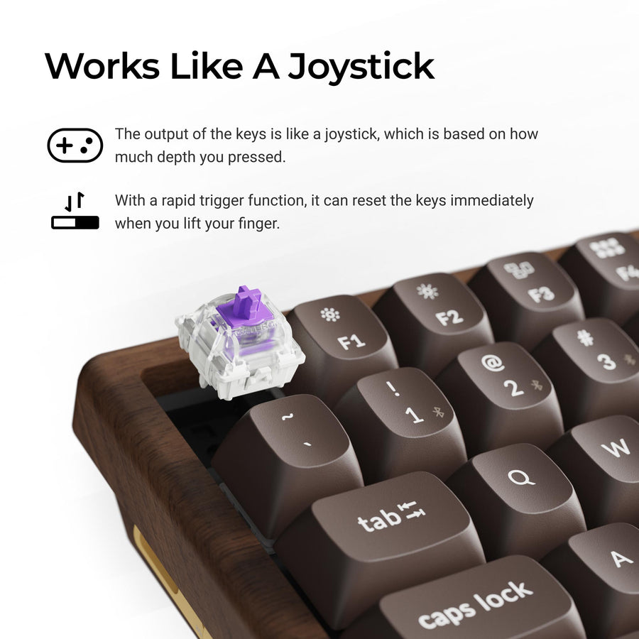 Keychron K2 HE 75% Wireless Hot-Swappable RGB Magnetic Switch Custom Keyboard - All-Wood