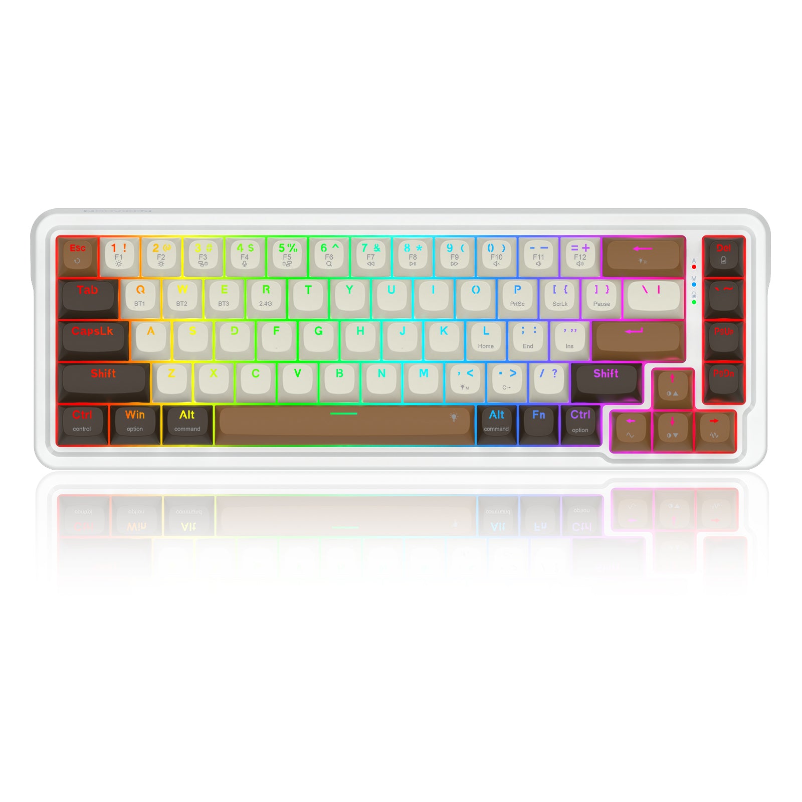 Redragon K709ECS RGB Nova Pro 81 Keys 75% Hot-Swappable