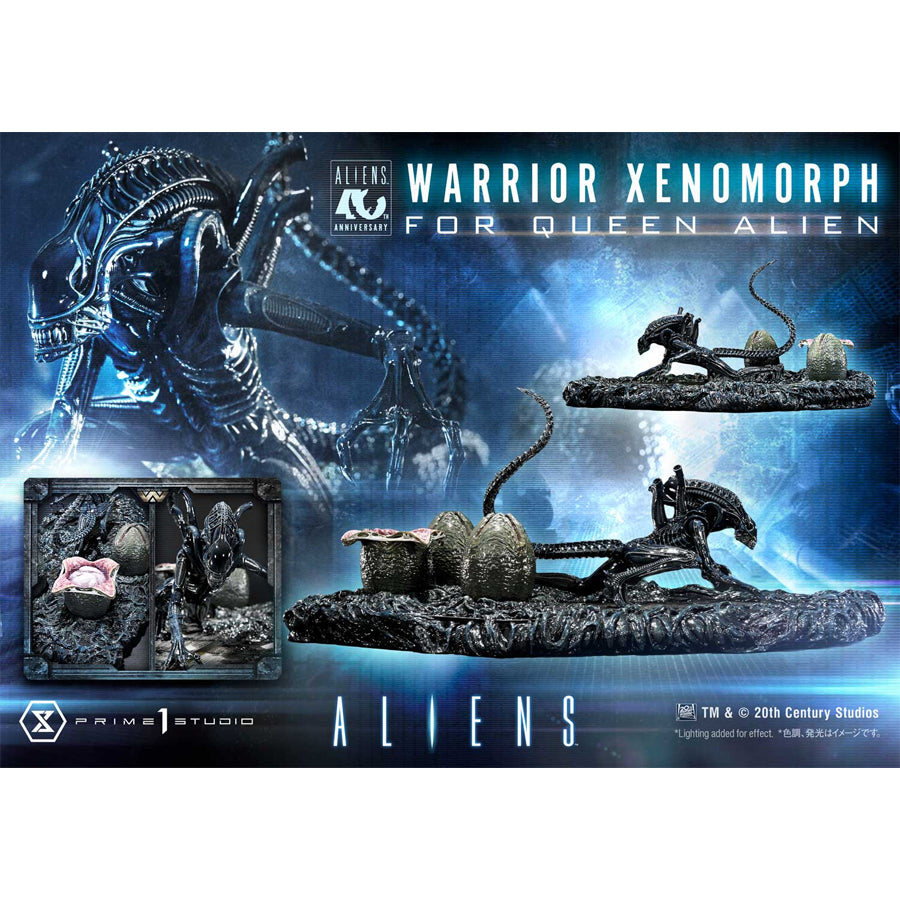 Ultimate Diorama Masterline Aliens (Film) Warrior Xenomorph for Queen Alien