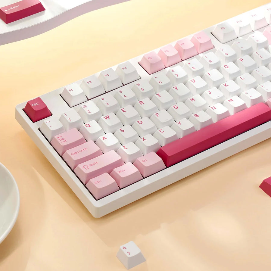 Akko Prunus Lannesiana 3108 V3 Wired Mechanical Keyboard (Akko Frost Pink Switch)