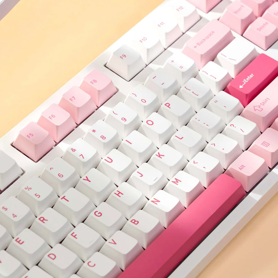 Akko Prunus Lannesiana 3108 V3 Wired Mechanical Keyboard (Akko Frost Pink Switch)