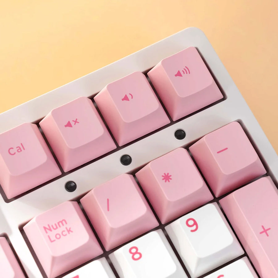 Akko Prunus Lannesiana 3108 V3 Wired Mechanical Keyboard (Akko Frost Pink Switch)