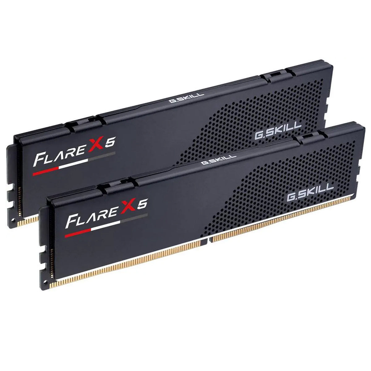 G.Skill Flare X5 16GB (8GBx2) DDR5 6000MT/s CL30-38-38-96 1.35V AMD EXPO Desktop Memory