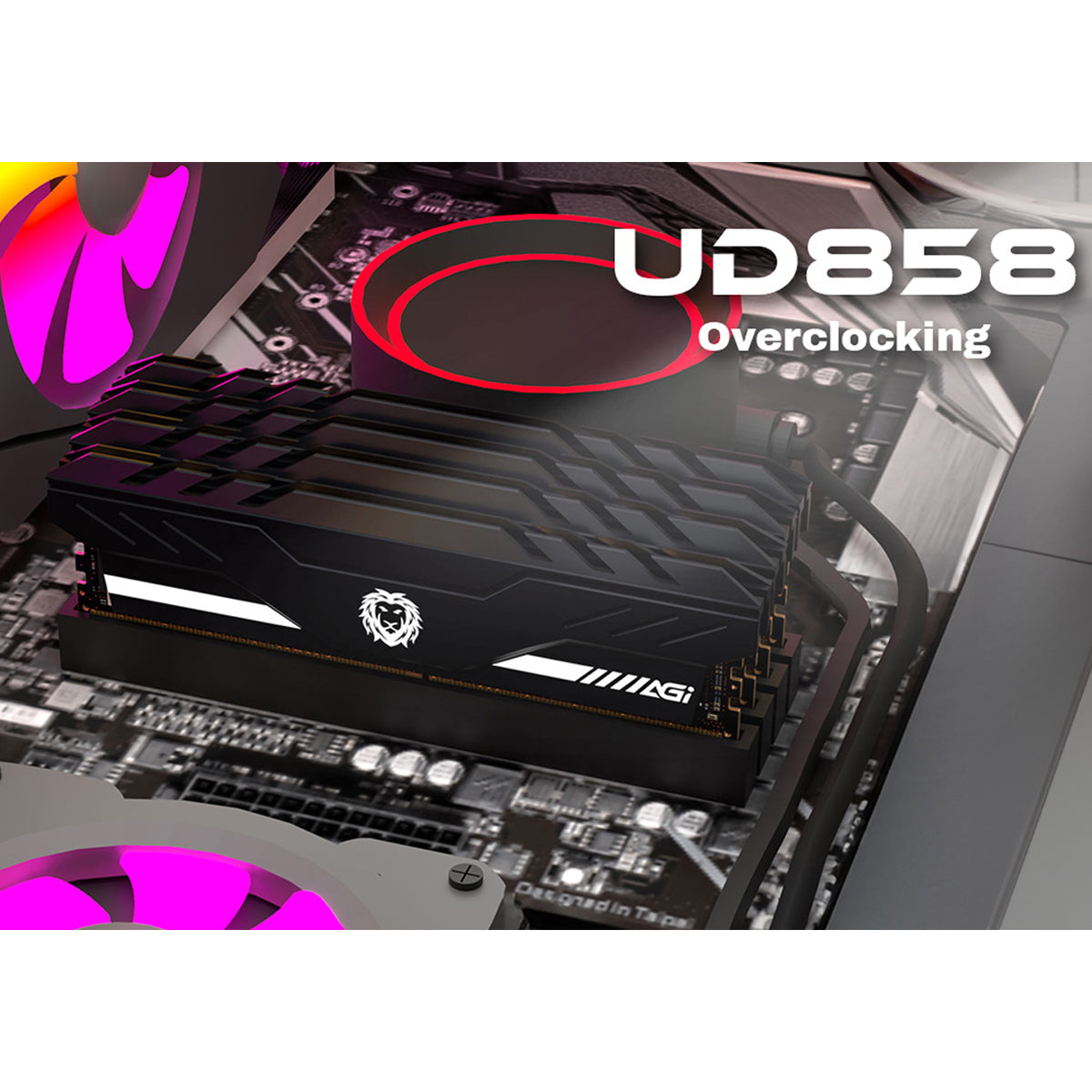 AGI UD858 32GB (16GBx2) DDR5 6400MHz CL32 1.35V OC Gaming Memory Module (AGI6GWB16UD858-DR)