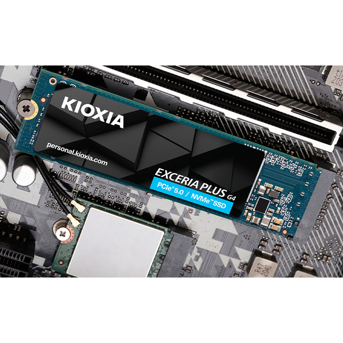 Kioxia Exceria Plus G4 PCIe Gen5 x4 M.2 2280 NVME SSD