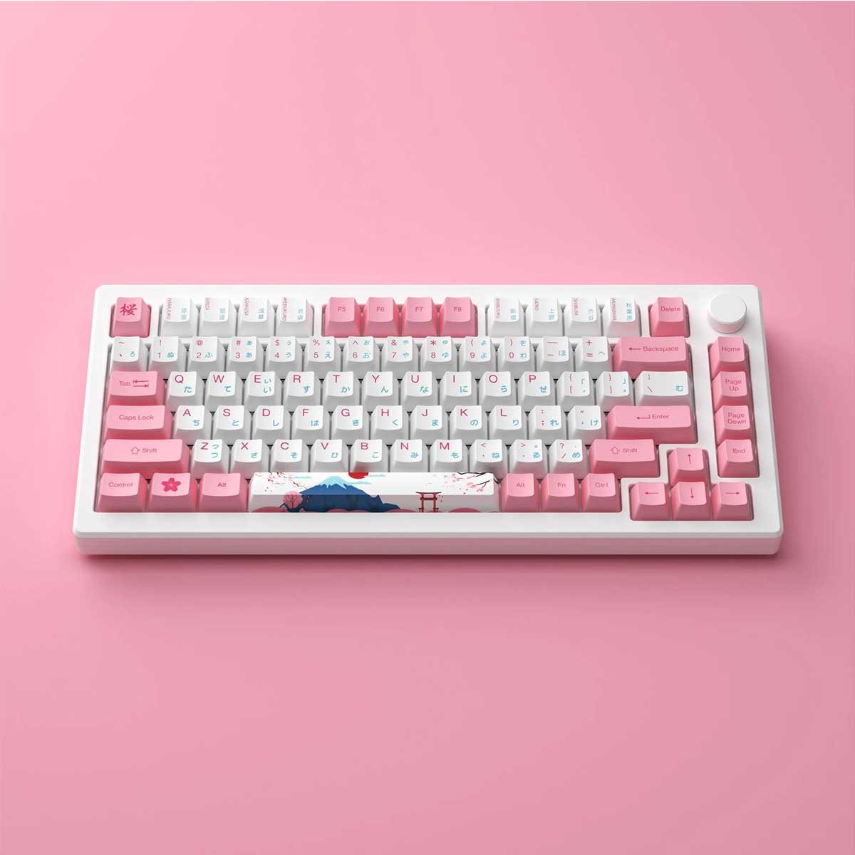 Akko MOD 007B HE PC Tri-Mode RGB Mechanical Keyboard (Tokyo R2) (Akko Cream Yellow Magnetic Switch)