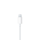 APPLE EARPODS WITH LIGHTNING CONNECTOR (MMTN2FE/A) | DataBlitz