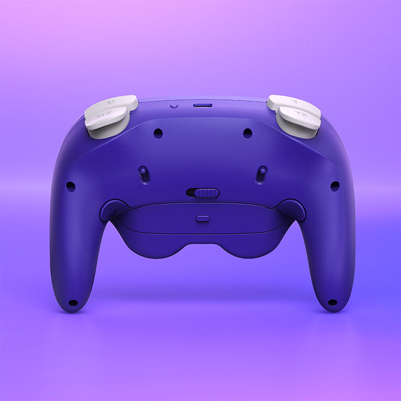 NYXI Warrior Bluetooth Controller for NGC/Nintendo Switch/Wii/Windows